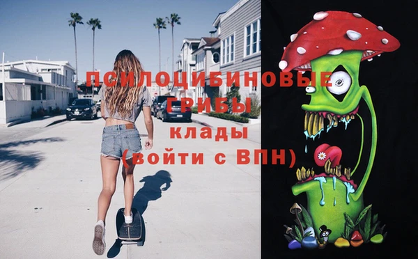 спиды Алзамай