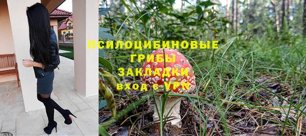 спиды Алзамай